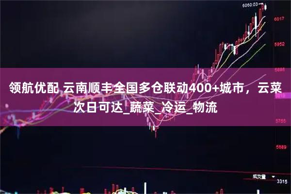 领航优配 云南顺丰全国多仓联动400+城市，云菜次日可达_蔬菜_冷运_物流